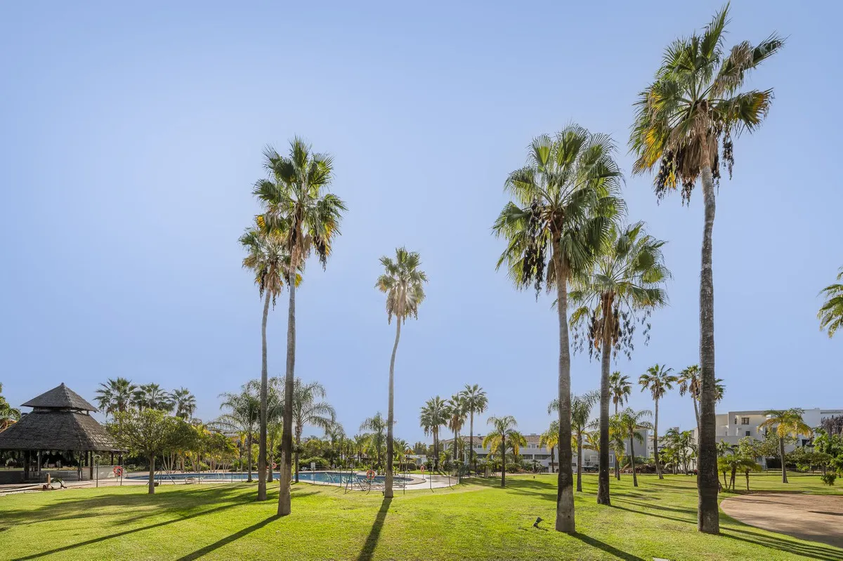 752eaebb-ad04-4a51-a21b-a41e09617172