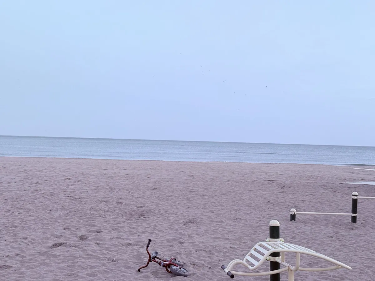 e9300719-1e2e-4aae-8868-3d7e51098e38