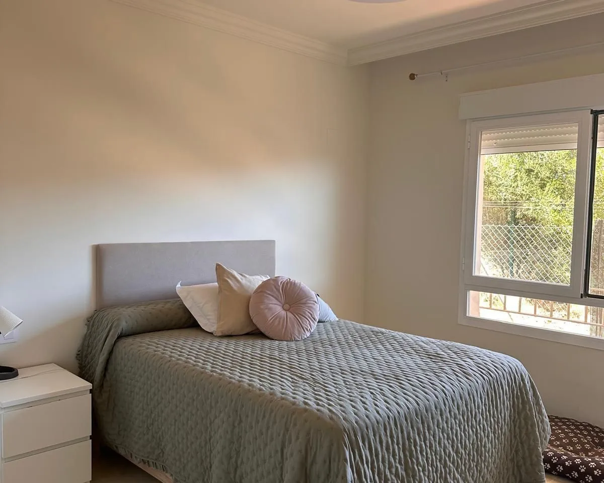 fe169ca1-90b1-46dd-b69a-ff98de6f770e