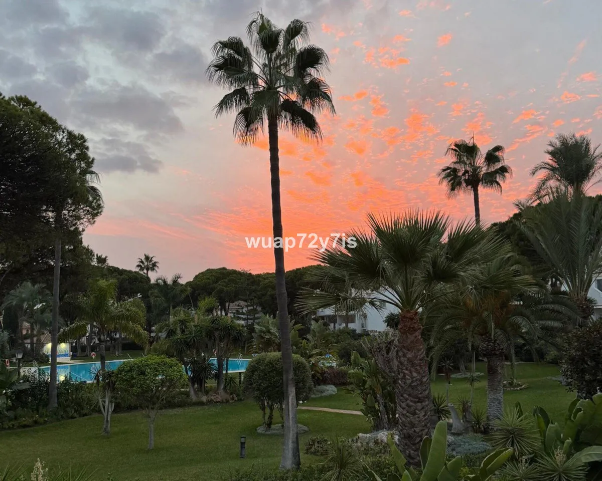 Elegant Beachside Apartment in El Presidente