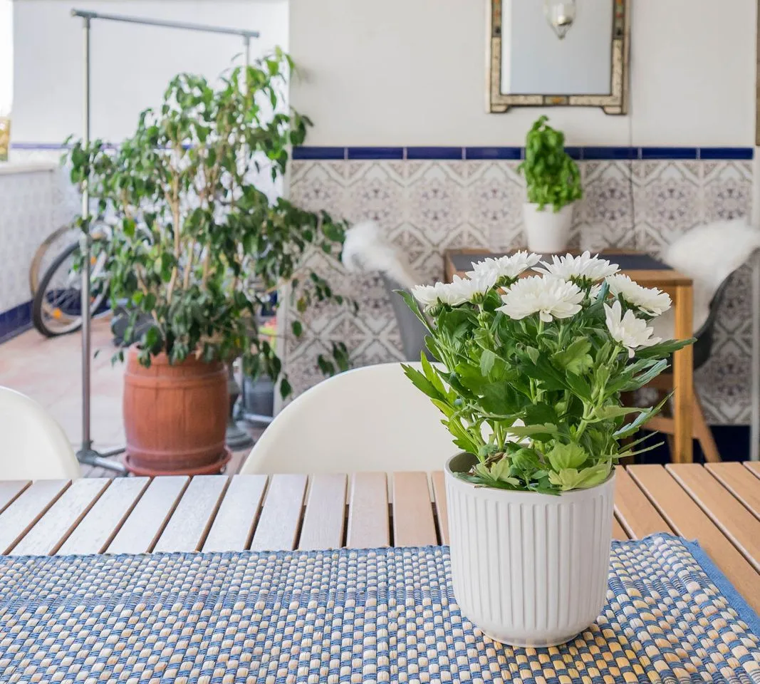 e3f86254-c9c2-480b-bd91-4a6b5320589d