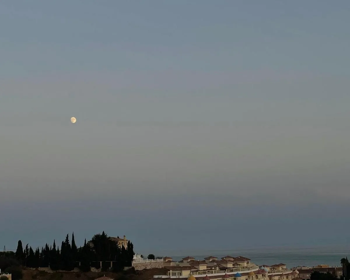 c6a6697c-a0da-4ce2-a54a-a2ead8970698