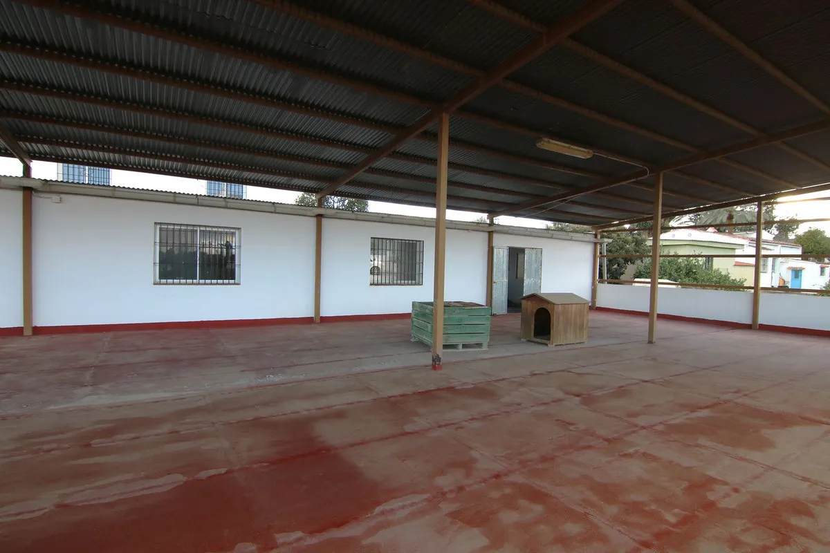 d41074b8-6d17-4769-a4a0-7844d7bcfd4c