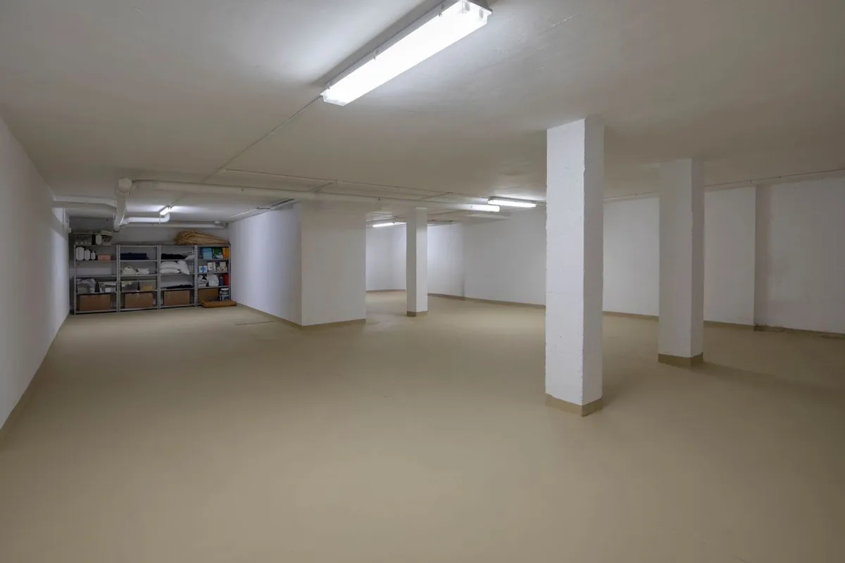 4d0e3397-7147-457b-937f-e393bf3c072b