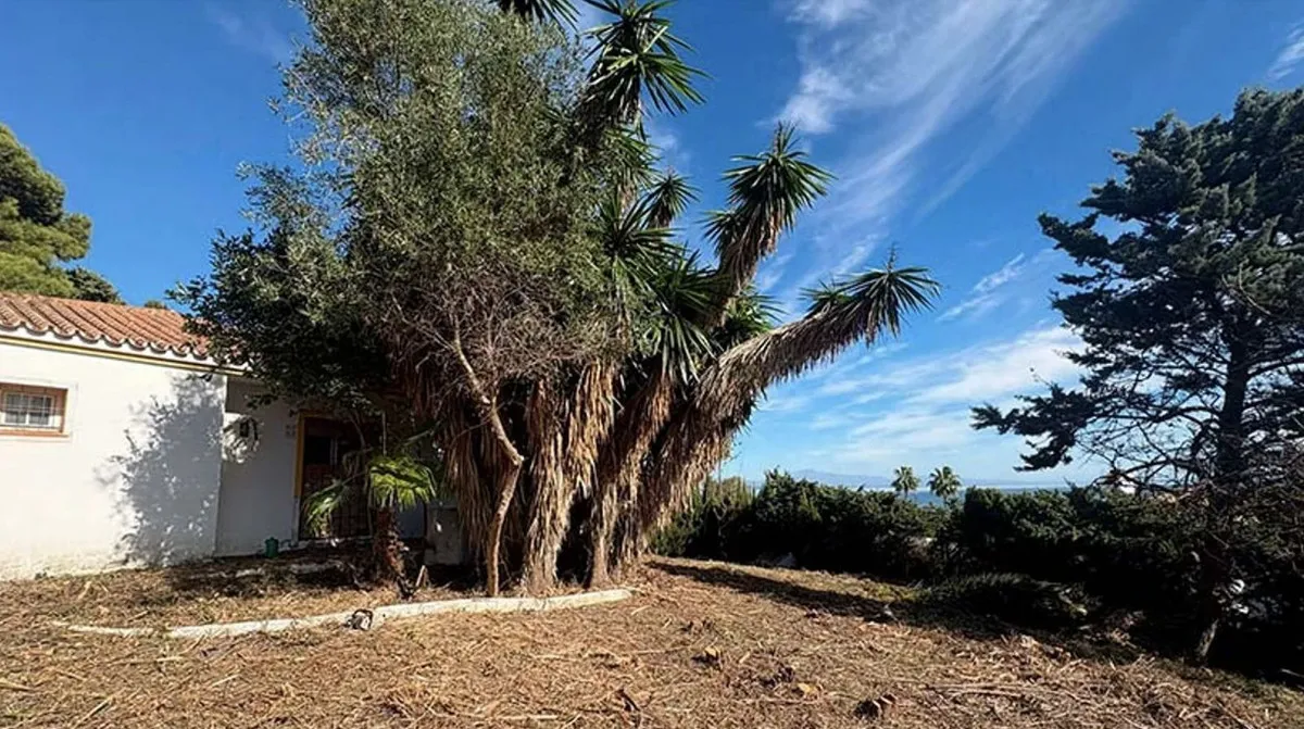 846735bb-2fd5-47c0-b64f-e1af43417997