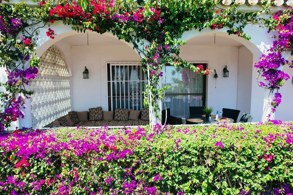 514b9b4d-eff5-484c-838a-21a893cbe6d4