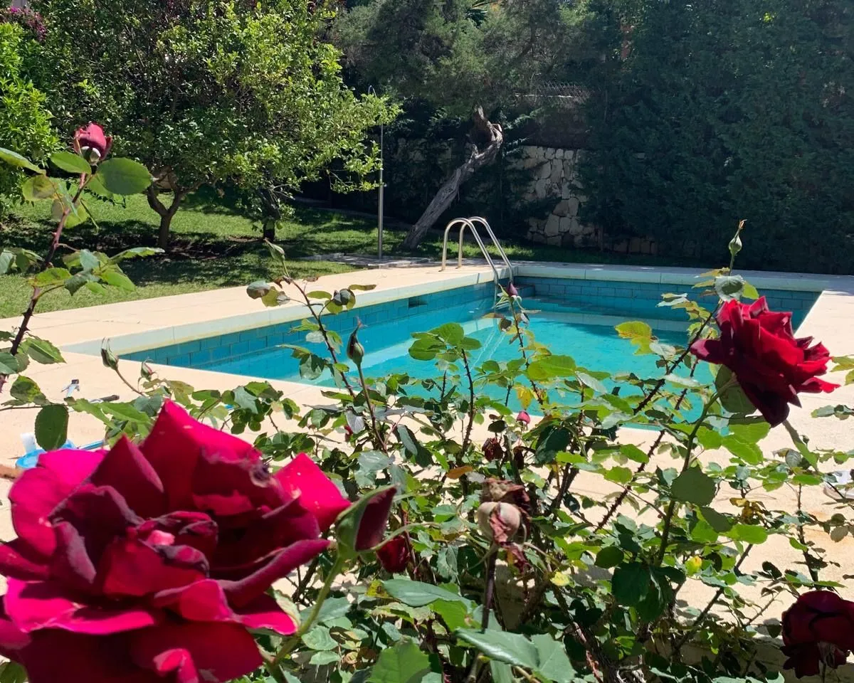 8dfe0fec-5f02-430a-8826-15bdaedca8c0