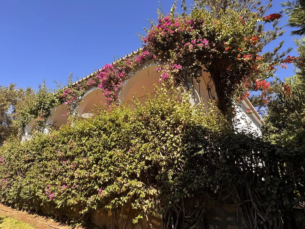 c6c07617-5006-4ef6-b25f-ebc214e6fa05