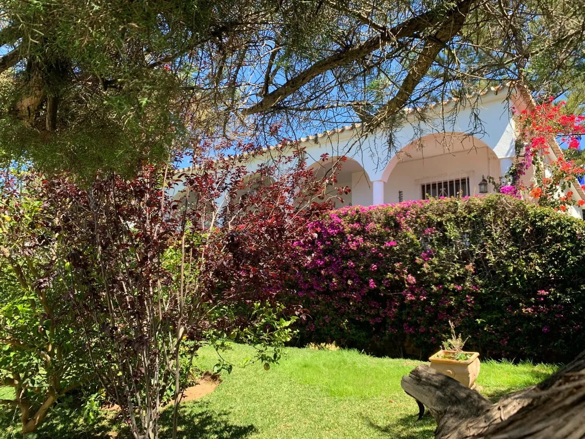 c8fc681c-c138-4982-8e96-e784f613f0f0