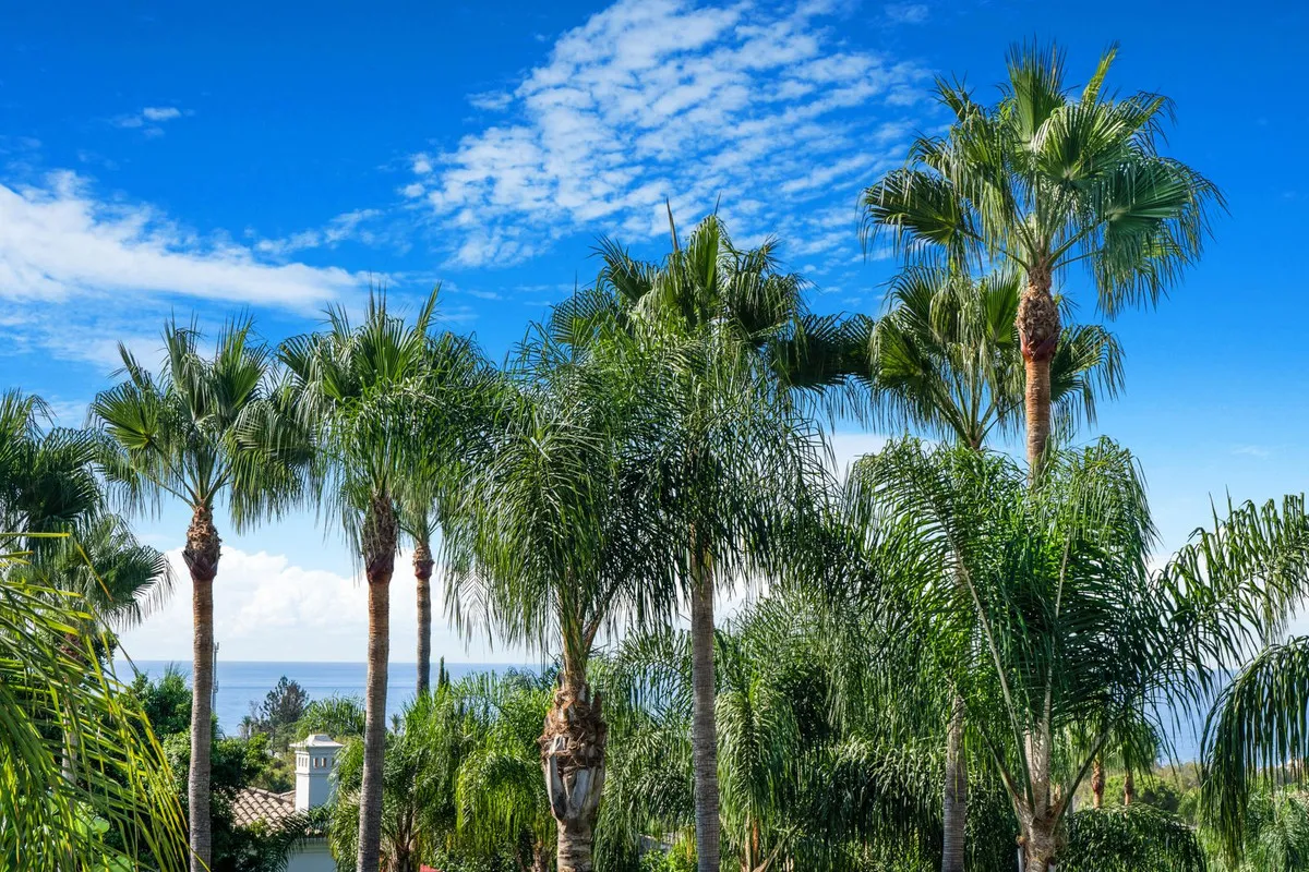 19a43518-7a7f-444a-95c7-99624b9e5a07