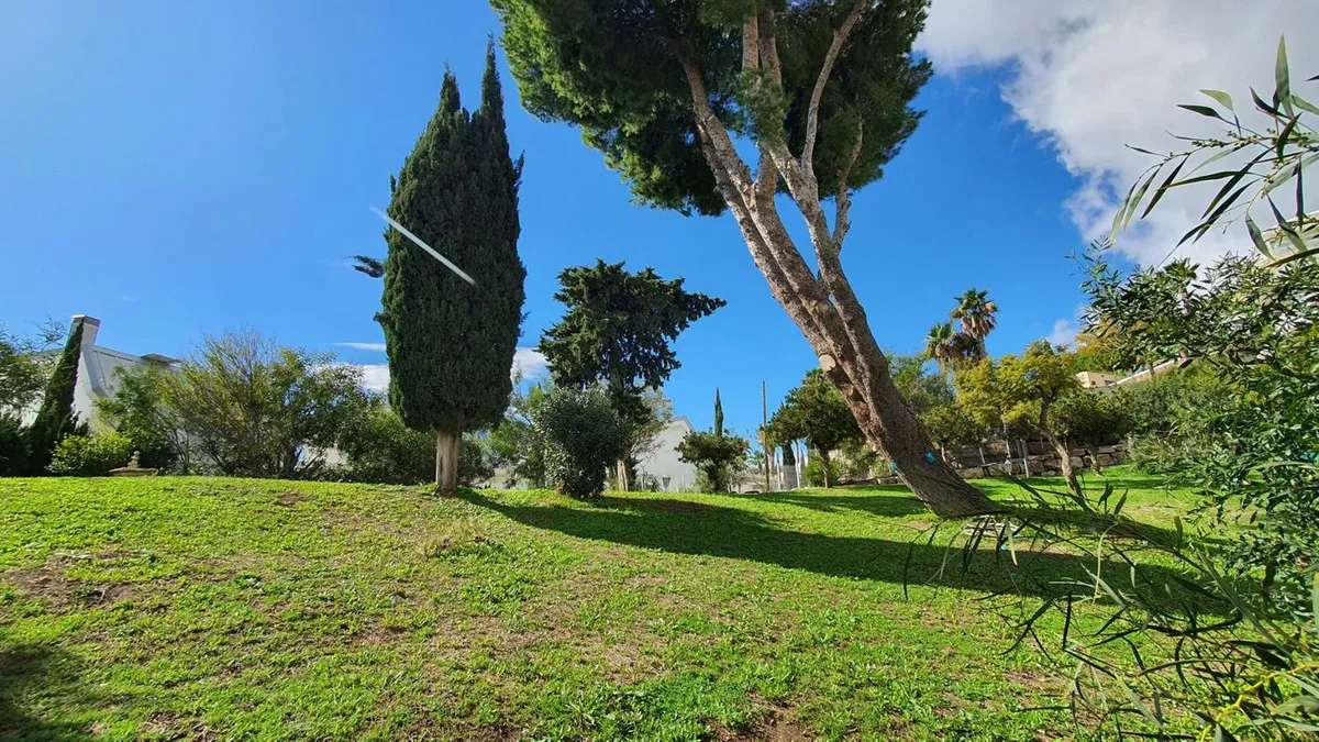 caa640af-b746-4b37-b67c-73a2d1269485