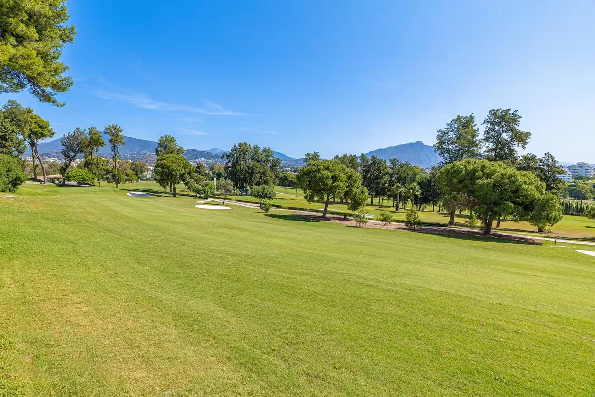 589aedb6-13d4-434b-9b77-de85051fbec1