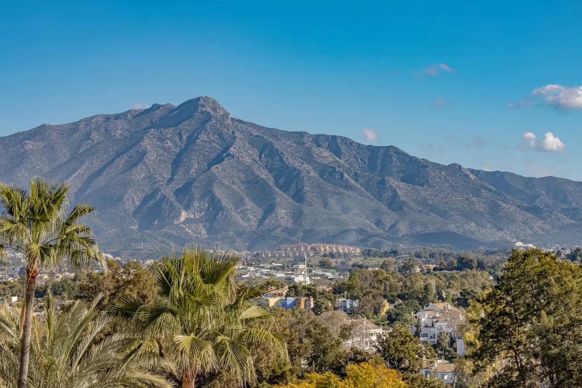 c37669e2-f1f8-4352-a815-aa981e32a834