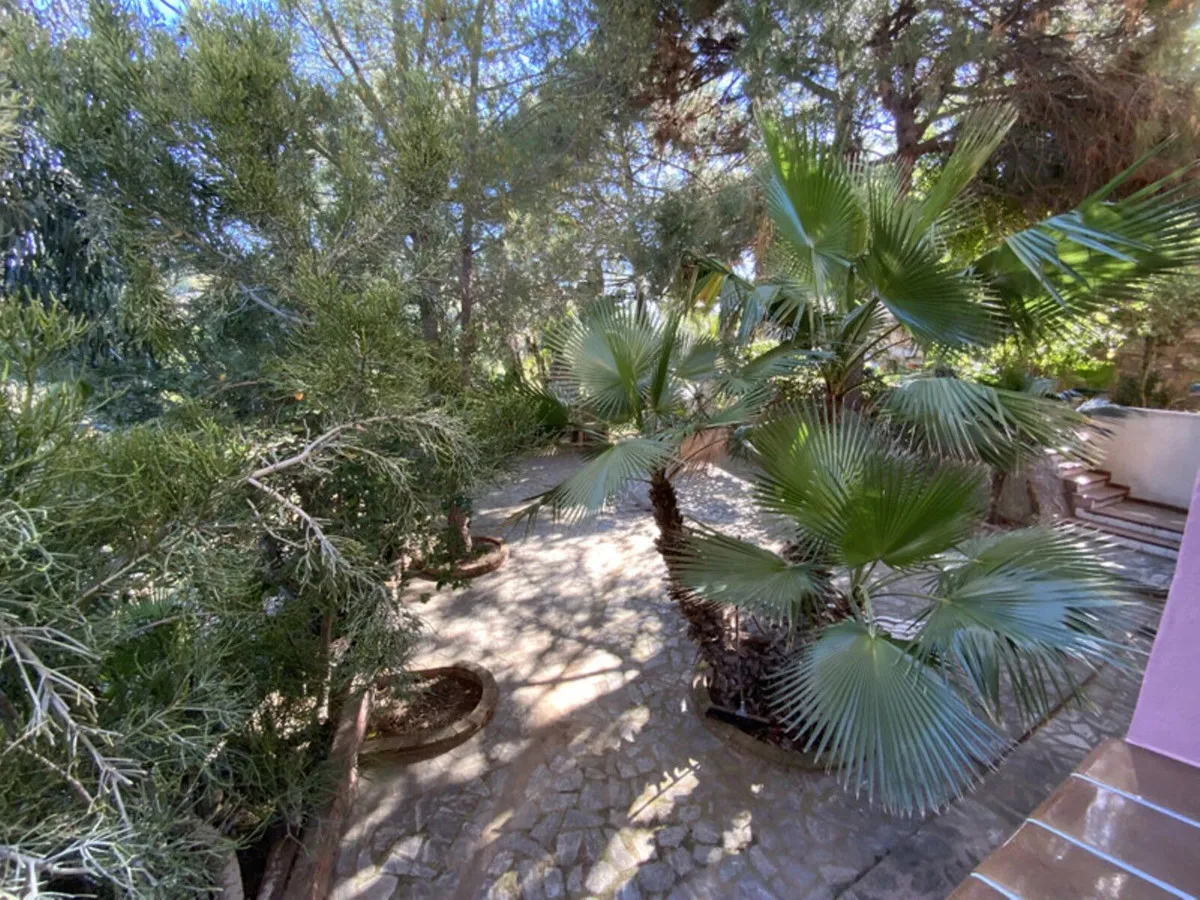 94c497f5-dfd1-49dd-b2e5-65ac01bbcf70