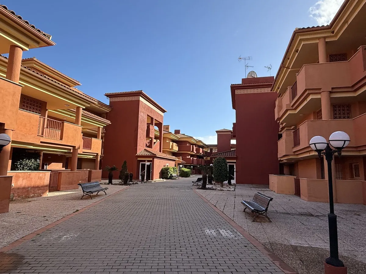 e4d12986-cdd2-491a-a837-3d584362efbd