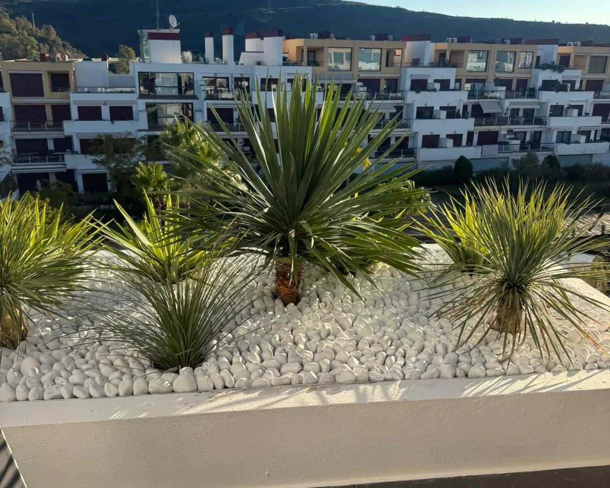 91e67fa4-e109-4ec5-926c-442830e370d2