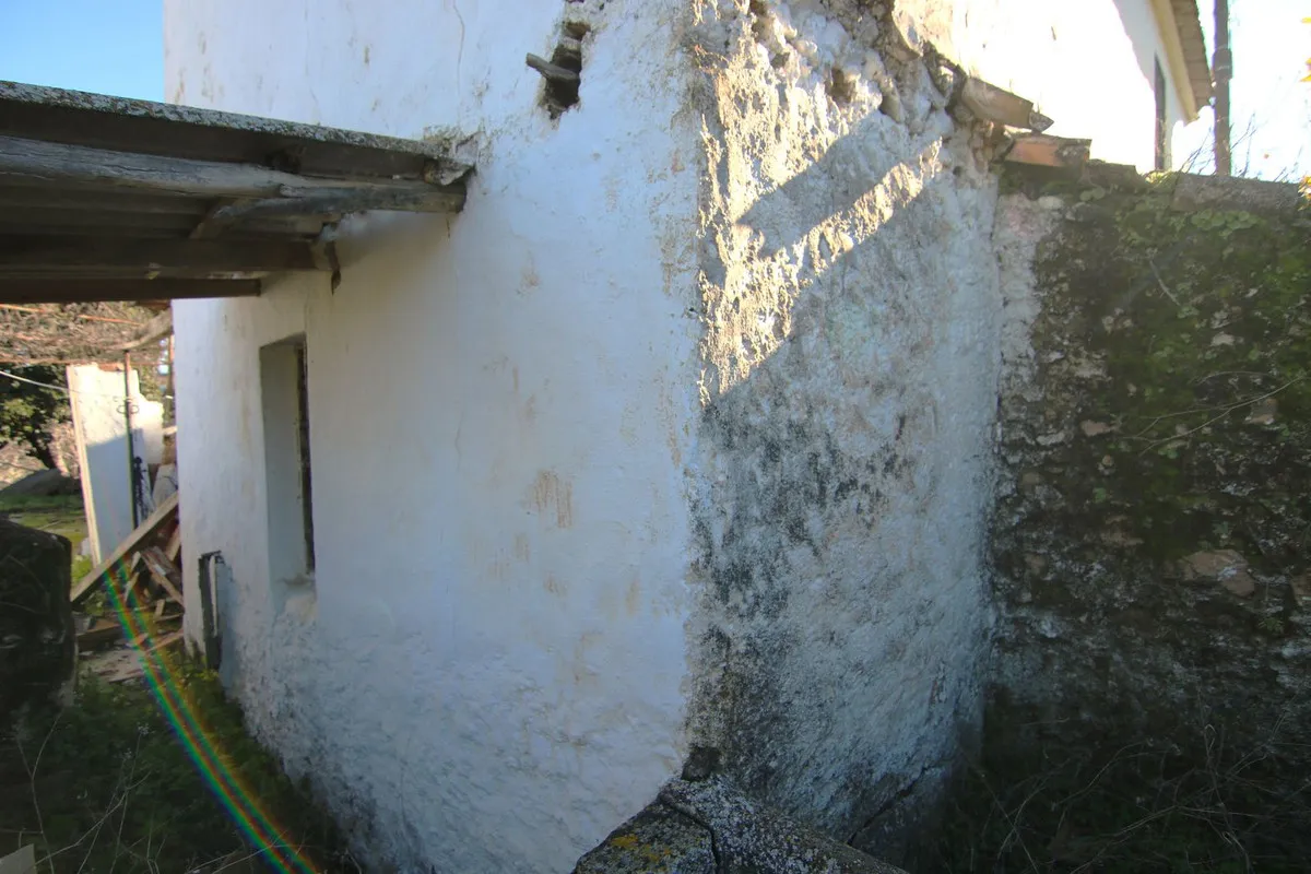 41c4e3f1-41ea-4e3e-a3d4-235c5ee76832