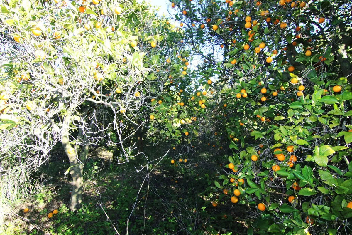 44be5c7f-1172-4a1a-83d1-b85f7df1320f