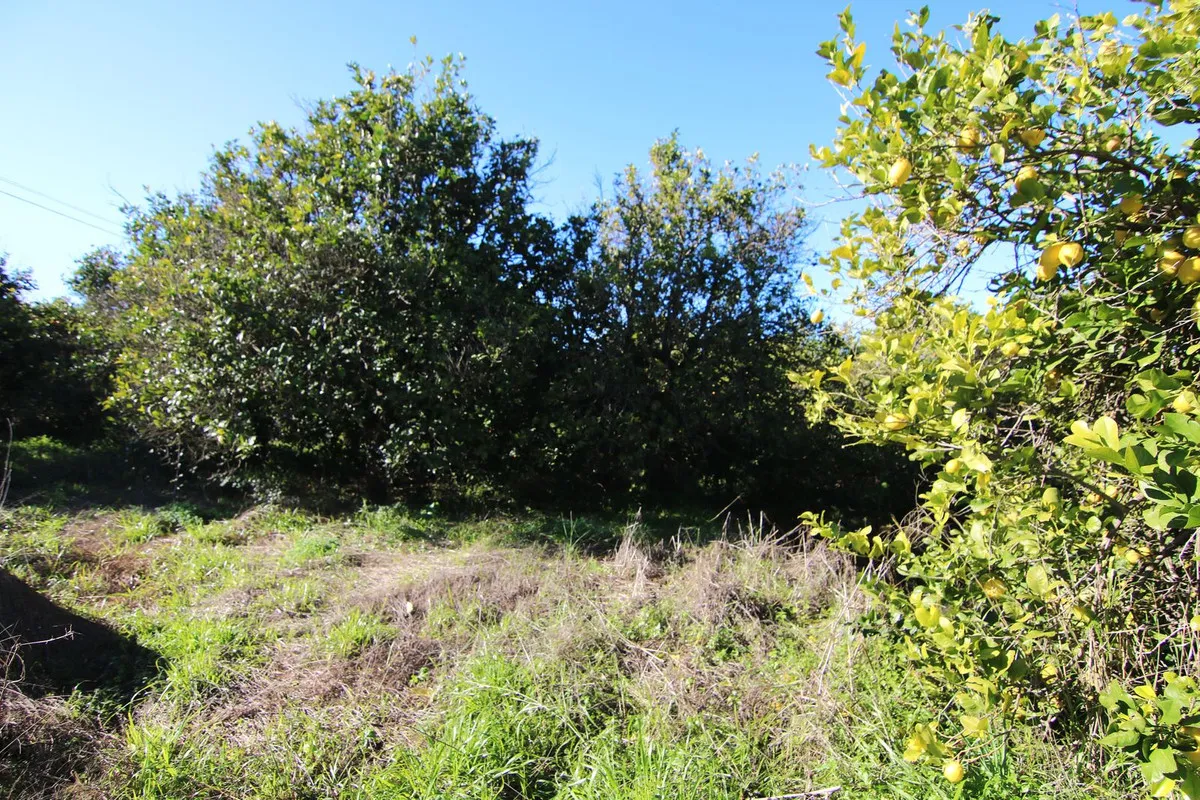 5ed4c1c2-ba0f-411d-8035-f827ba23f062