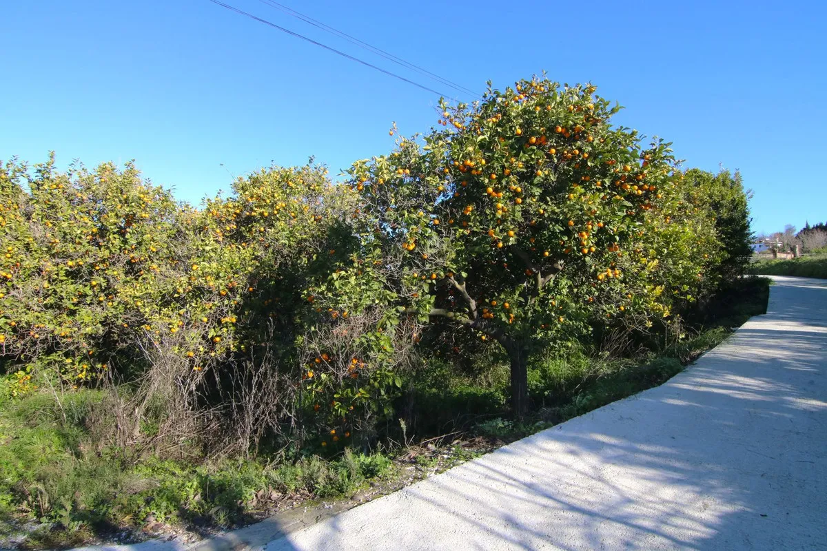 85df092c-aad1-46cf-b061-d2cb87dc05a2