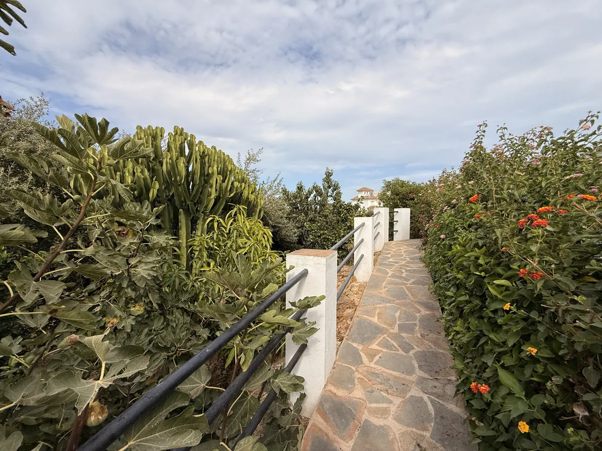 e44b9179-e3d5-4ab5-a94c-b1bccd36ac1a