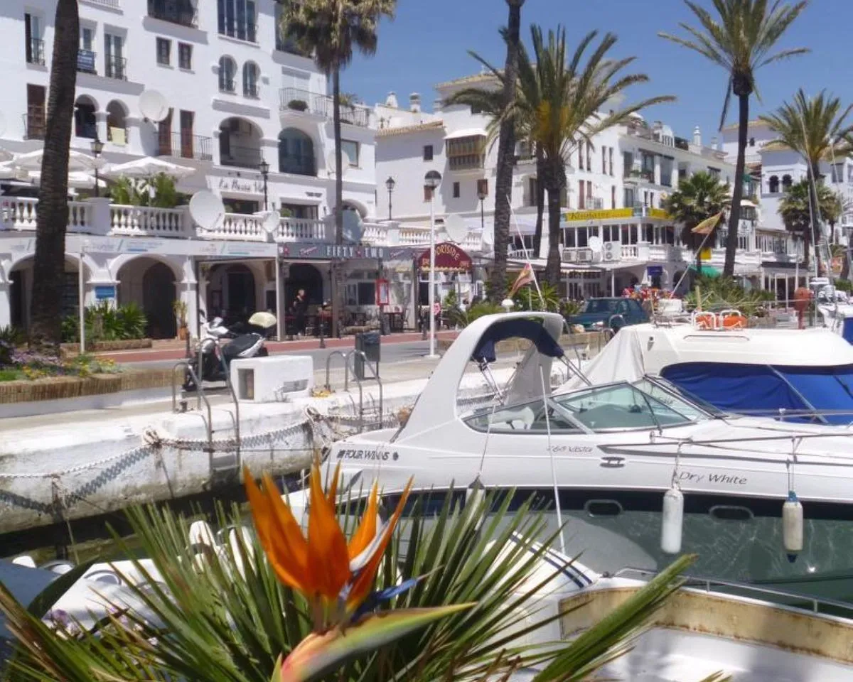 c0780026-9a69-4a52-843d-22b2d6002ca0