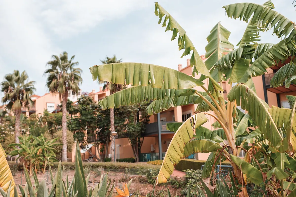 519fe5d0-566e-4061-97b1-358cb0f59f6a