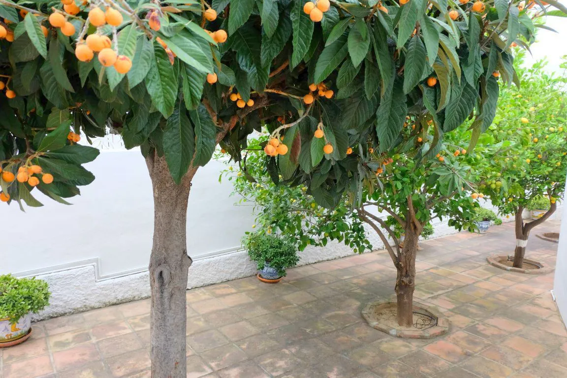 9c6d9e4e-6a81-4f3c-bedb-a984bb09365f