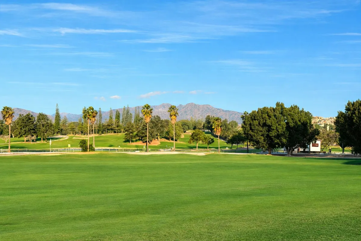 3367b47d-e736-466f-afcb-9718e172bed3