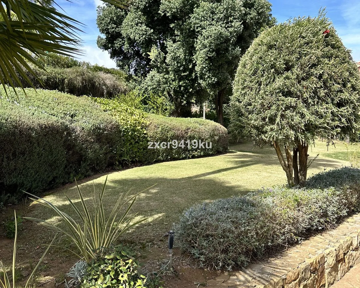 68163f55-aa02-4ac4-b186-036ed6b567c9