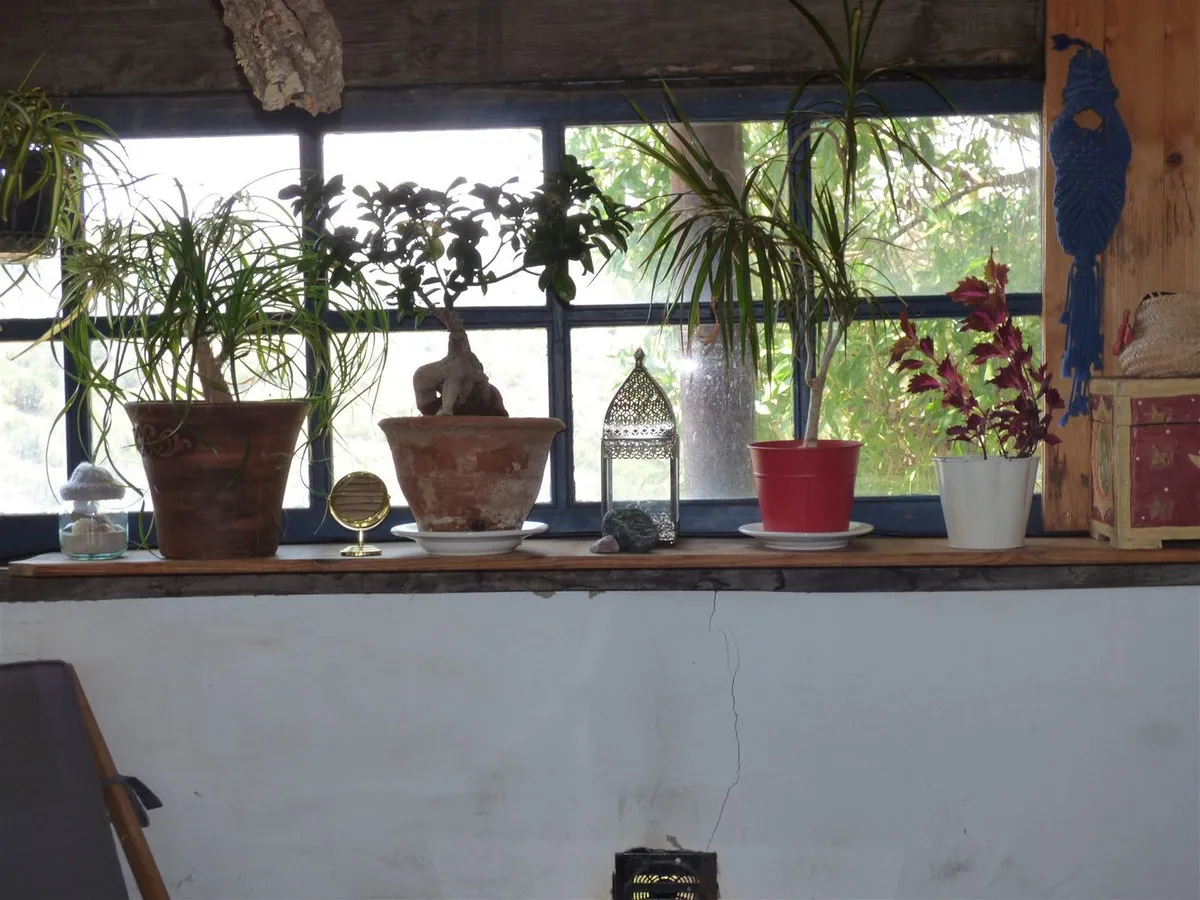 07e5c91a-97b9-4837-bcf7-8ccbc63ea842