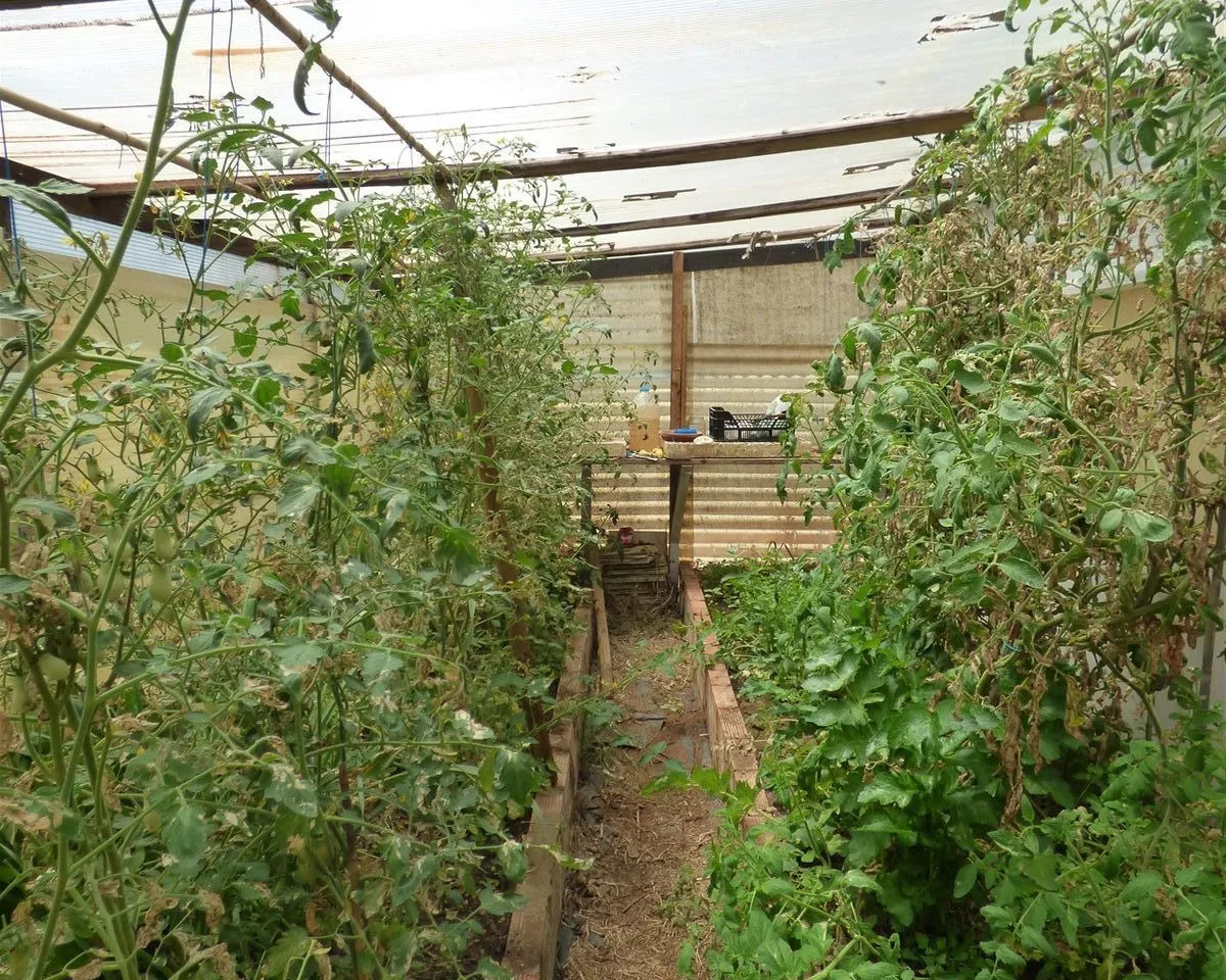 0fd1fd99-84e8-4d01-9b57-9a573c3b5148