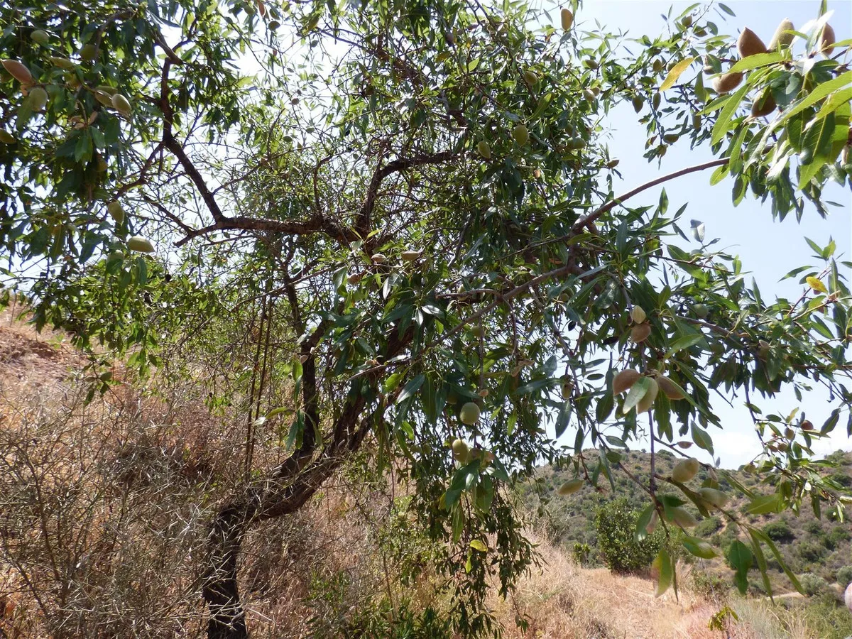 31442273-5883-4b5f-92a3-9ae34a9f83e2