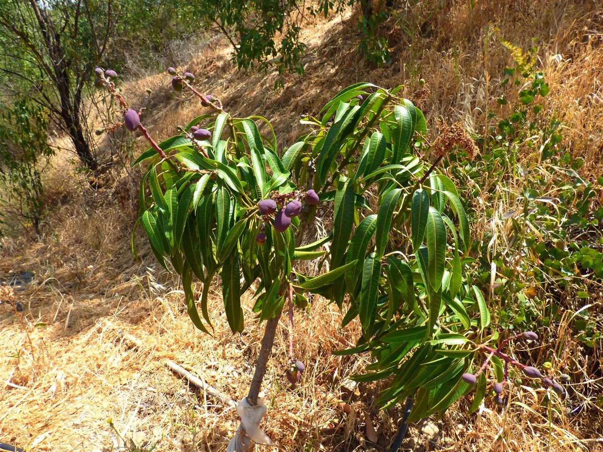 c7a8f81d-ecf2-4d57-9fb5-cc5217265343