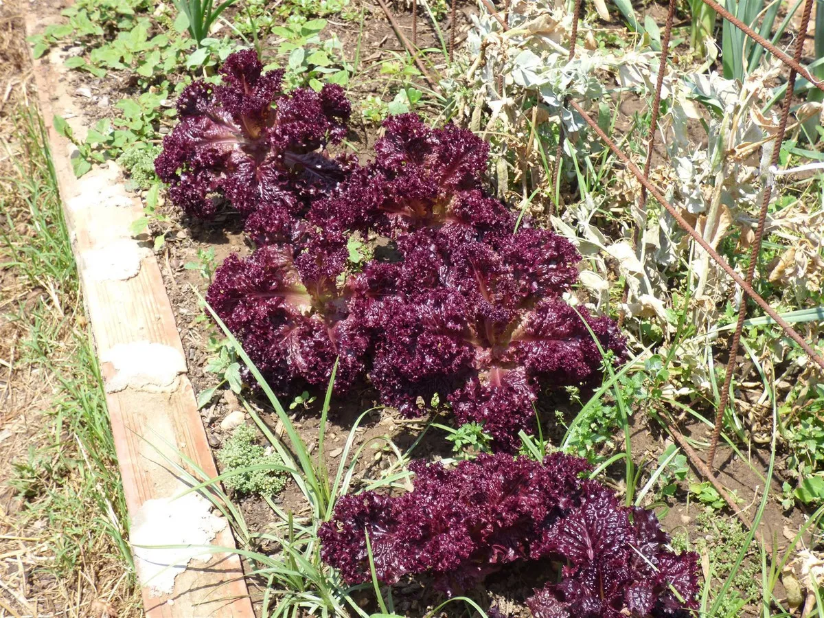 c81c418e-6cda-4f3a-ae52-f0f5024032a2