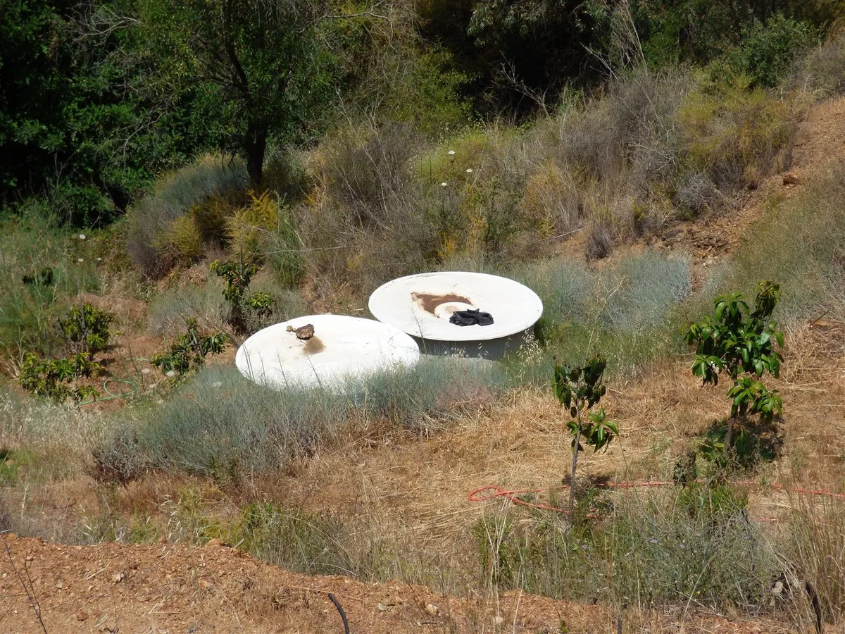 dc5d7674-c5b1-4b0d-abc7-a588335336d1