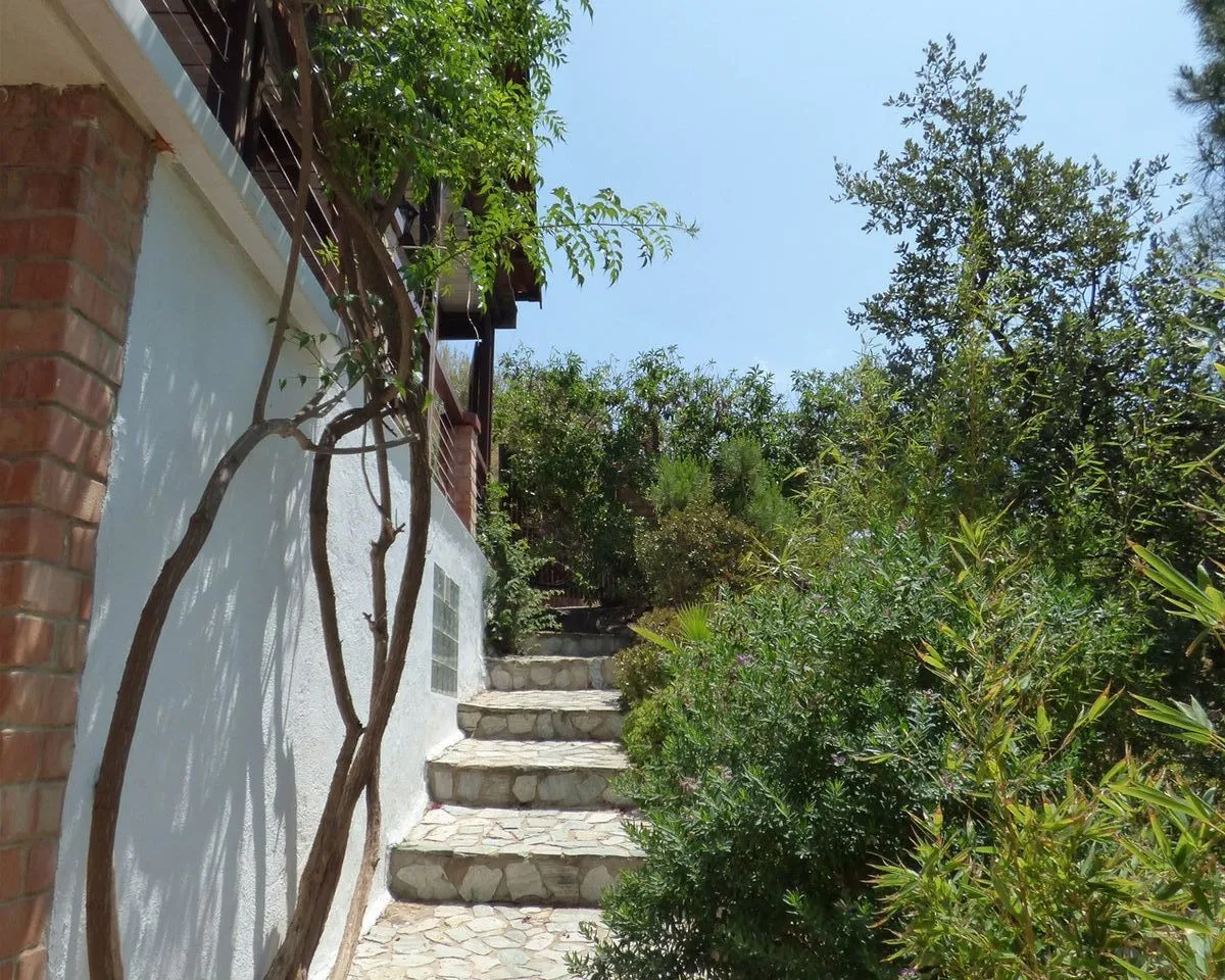 fa776008-05a0-4d60-9180-57f5f75479a1