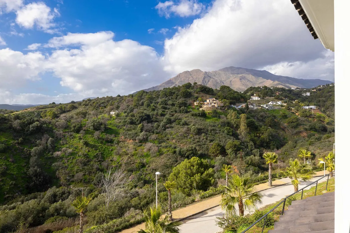 b1bd48a3-8ed7-42d1-8a3d-76a886cf1eae