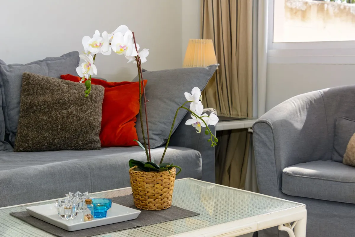 3094b6fb-1dae-47cf-80e9-c0a0f4d56c09