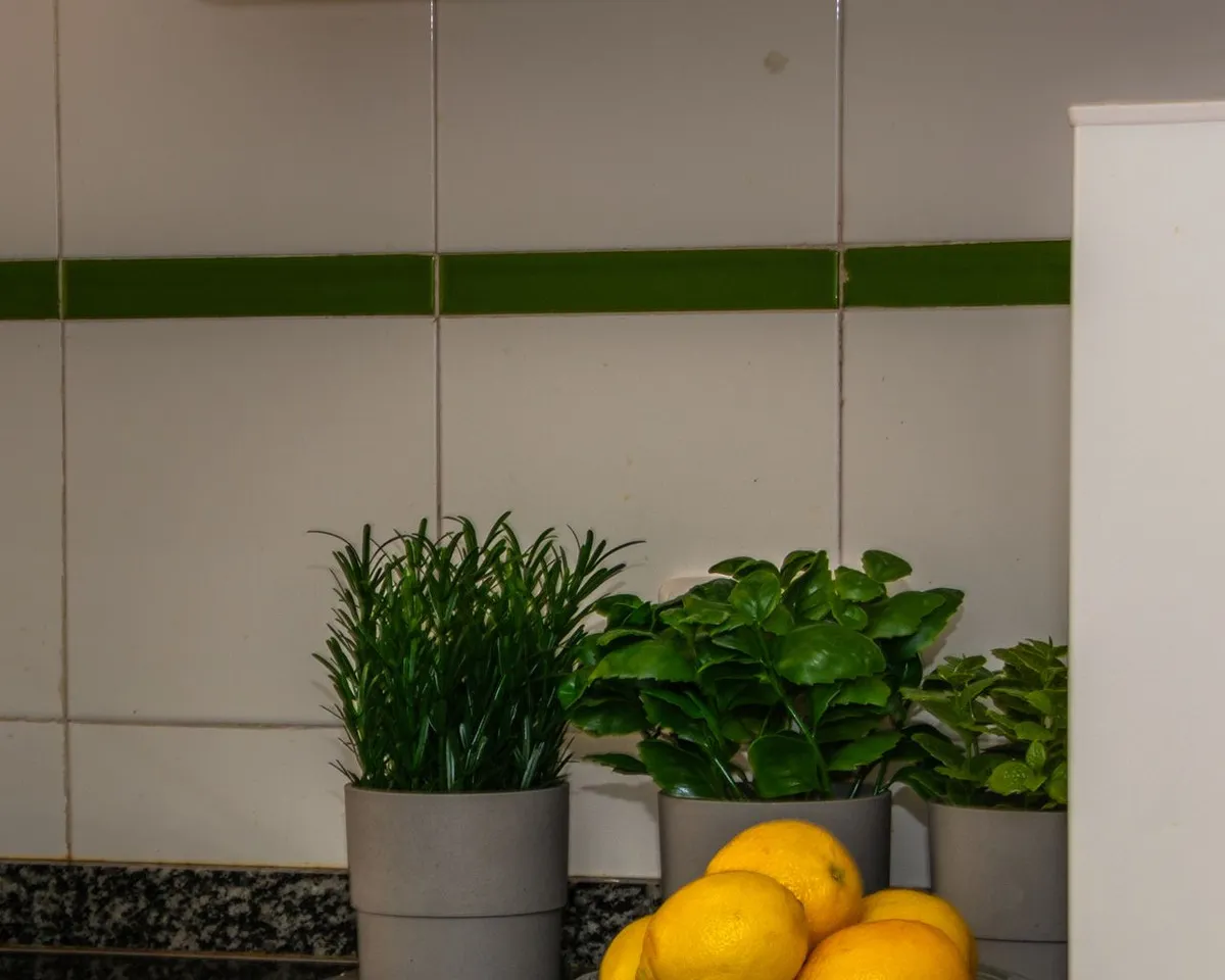 839b4bf2-d7ce-48cf-abb2-461d5b734ef9