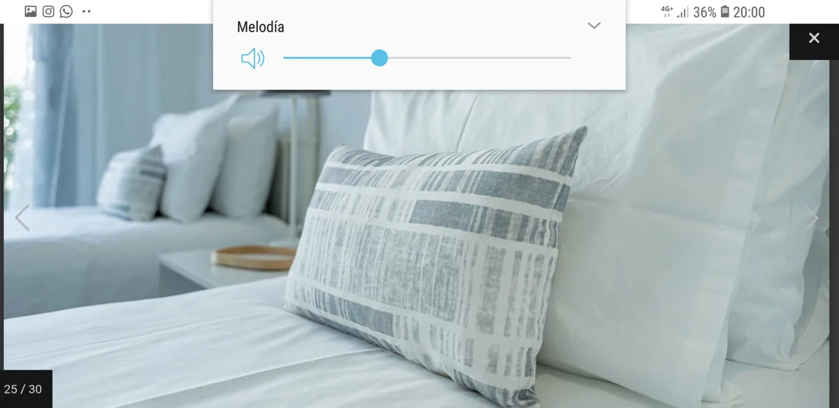 ee911b06-81f7-4e2d-992f-a5fd939a0111