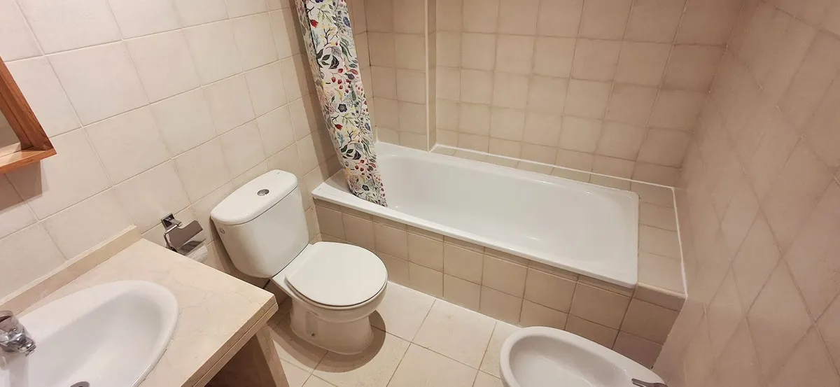 242ef4f1-f337-45d7-8c81-f3ad0989f814