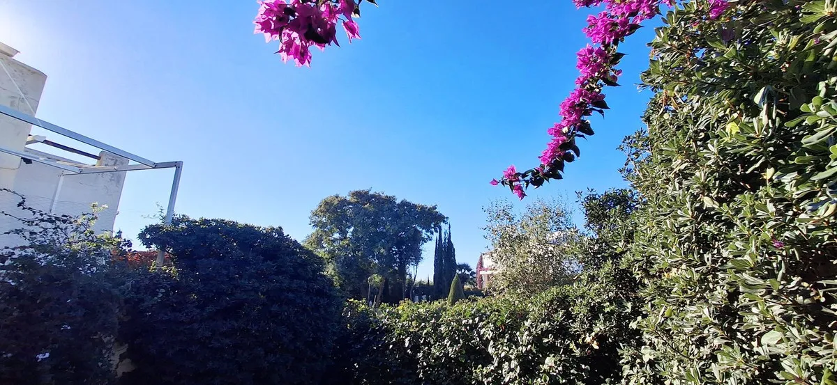 ac907578-dc49-489a-8e03-b5bc49ecf1b8