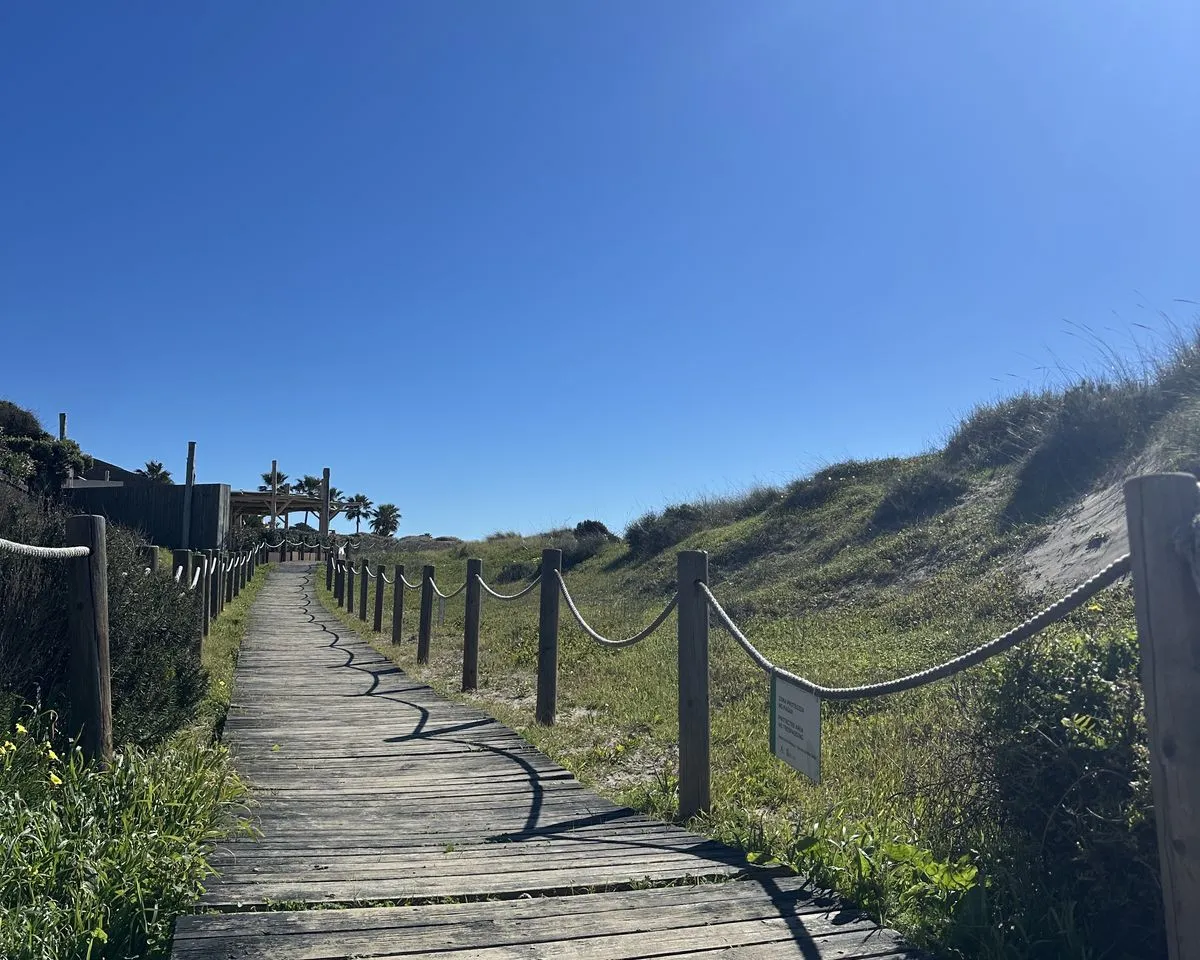 5eb74366-d226-4343-b9a6-db50e2bb3e1d