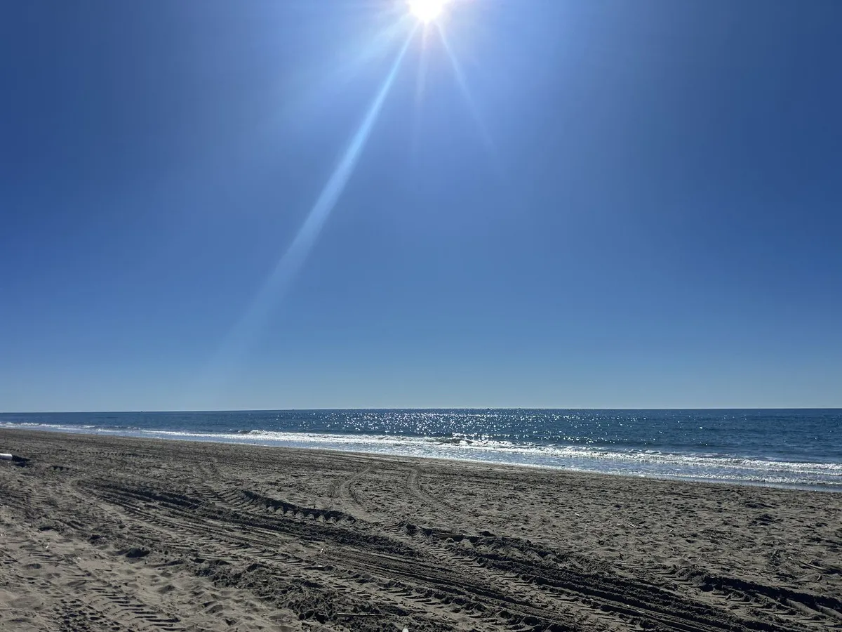 97289e0b-4058-40b1-ac8a-7b6785383a4d