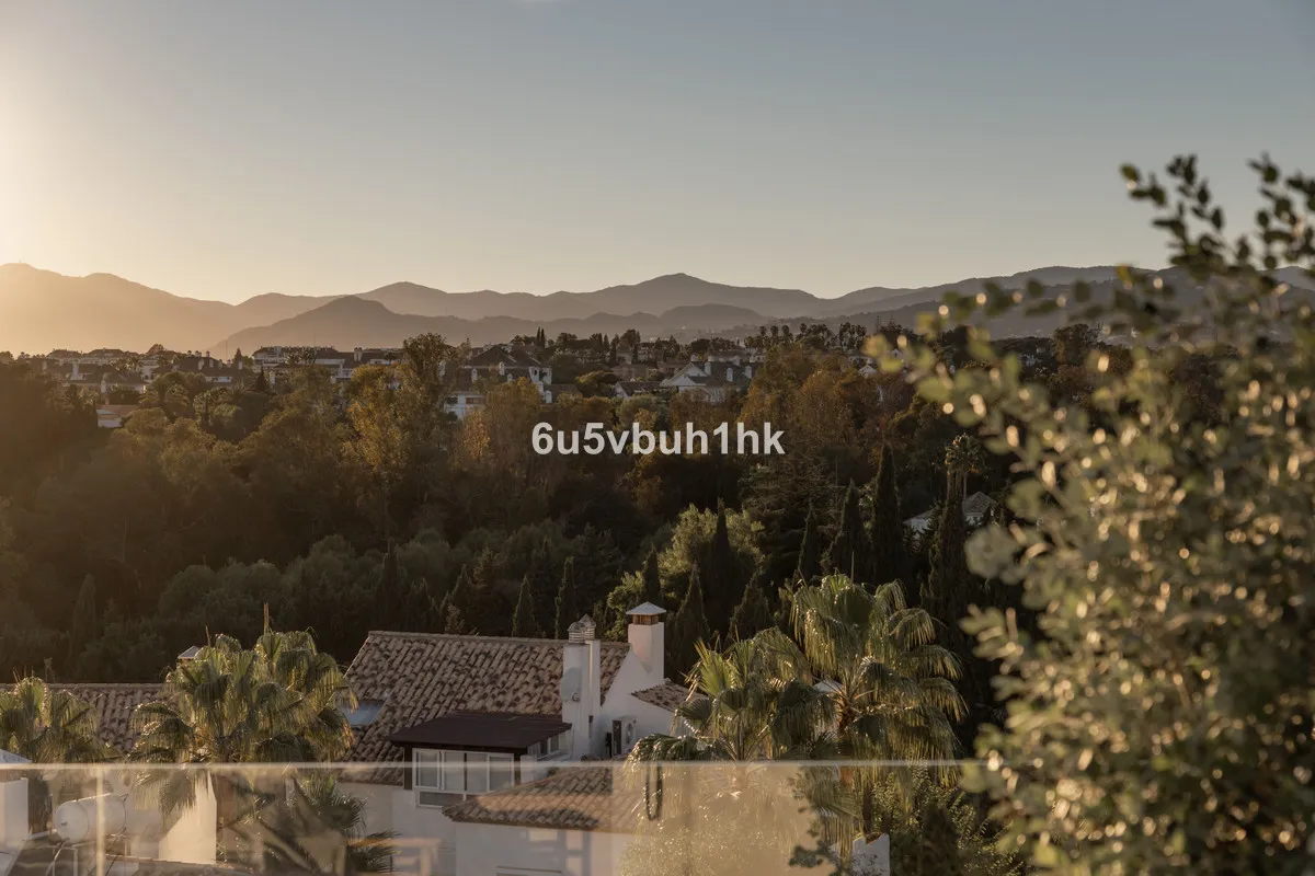 07150b77-2065-4267-9e8f-80013cd013ad