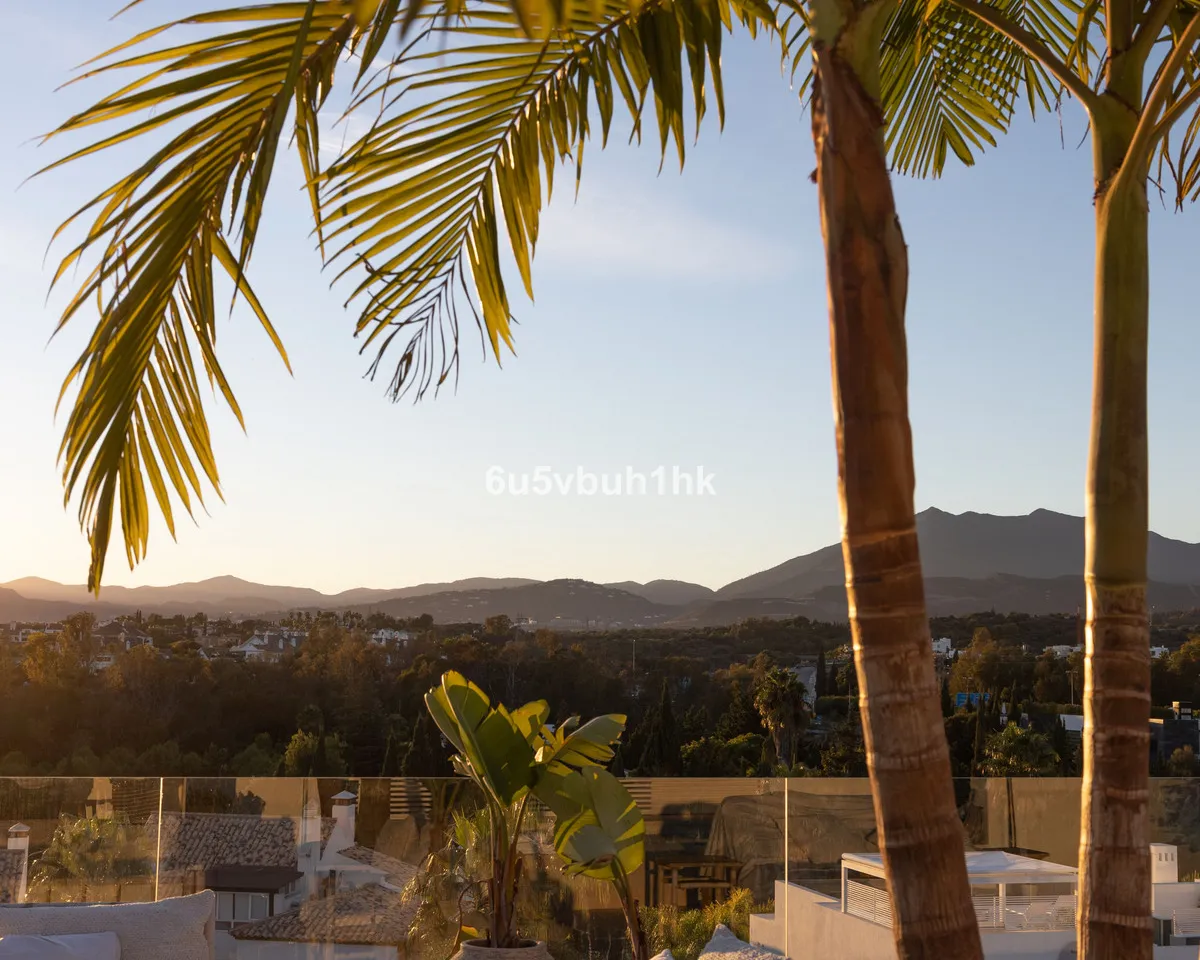 61a46020-88ca-4405-8ee5-cadc8aa5f481