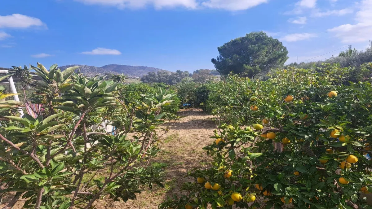 eaace29c-2410-4371-adca-52049f72a6f6