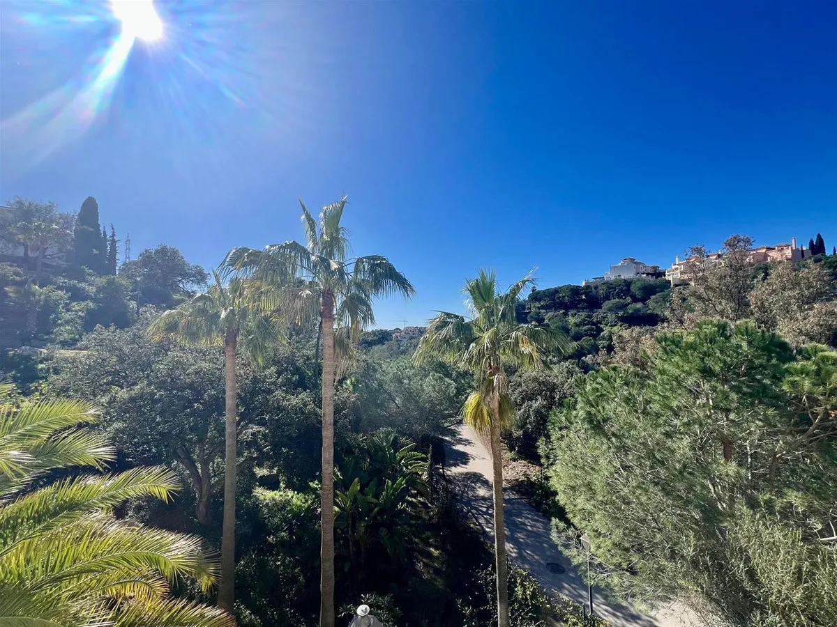 5f9c0533-532b-48d1-a43f-bc7b5f7c5dcb