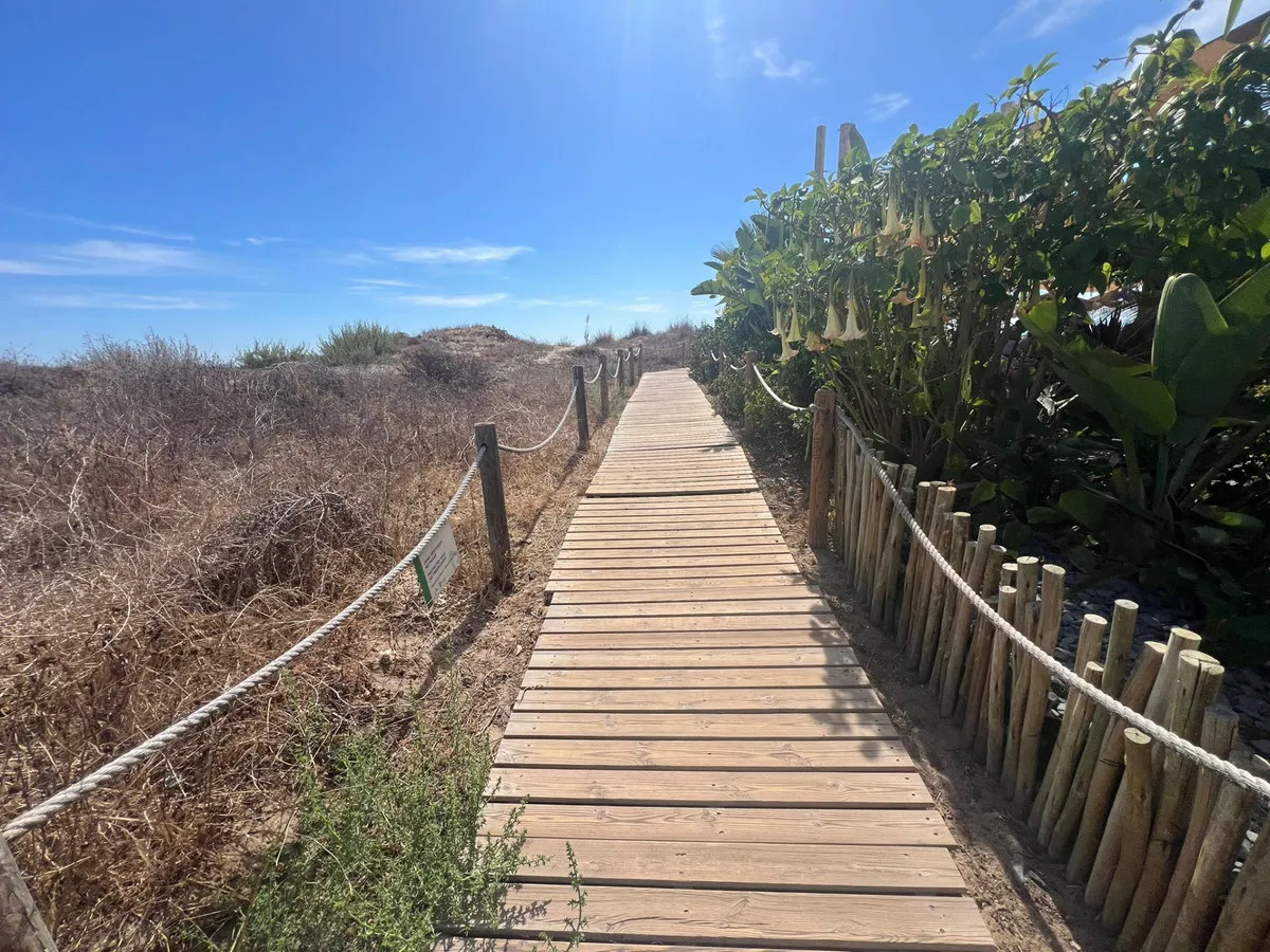 0a9318a7-edd2-481a-b003-1a54dfb1e39e